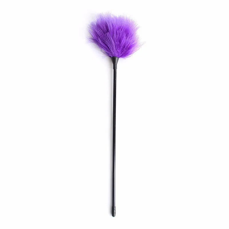Plume sensorielle avec manche – Accessoire pour couples 27 cm | NightKiss