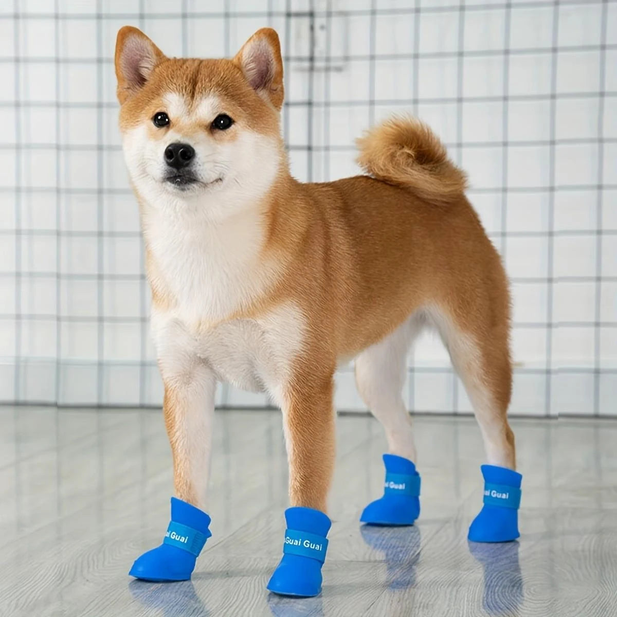 Chaussures de protection antidérapantes pour chien