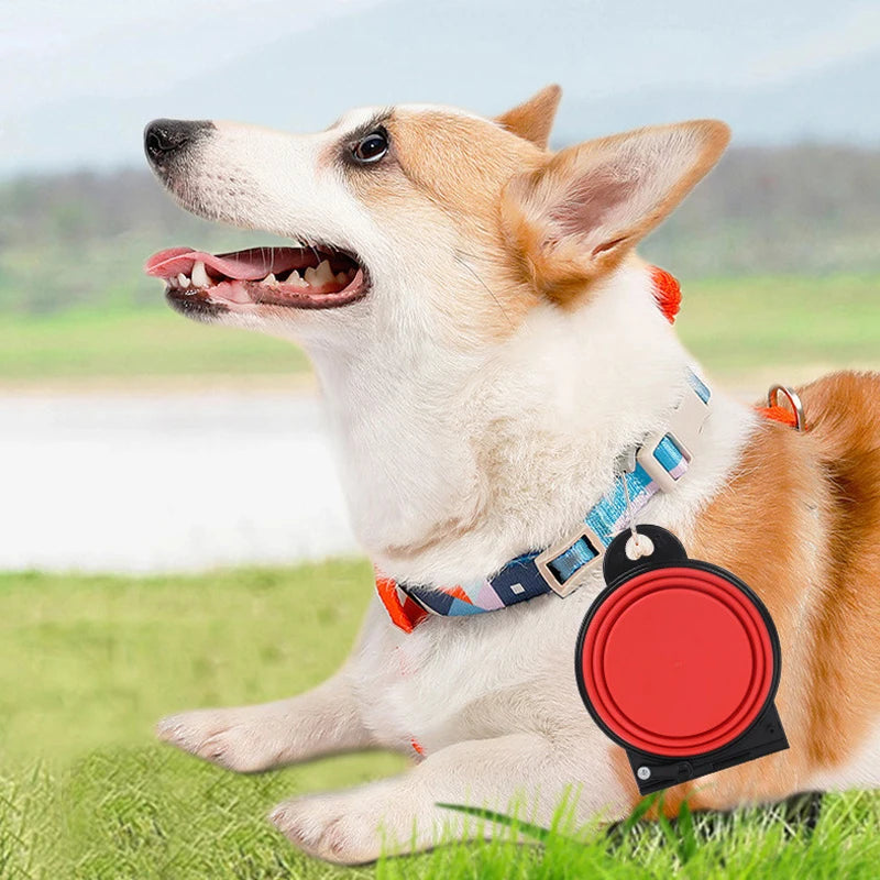 Gamelle de voyage pliable 2-en-1 pour chien et chat