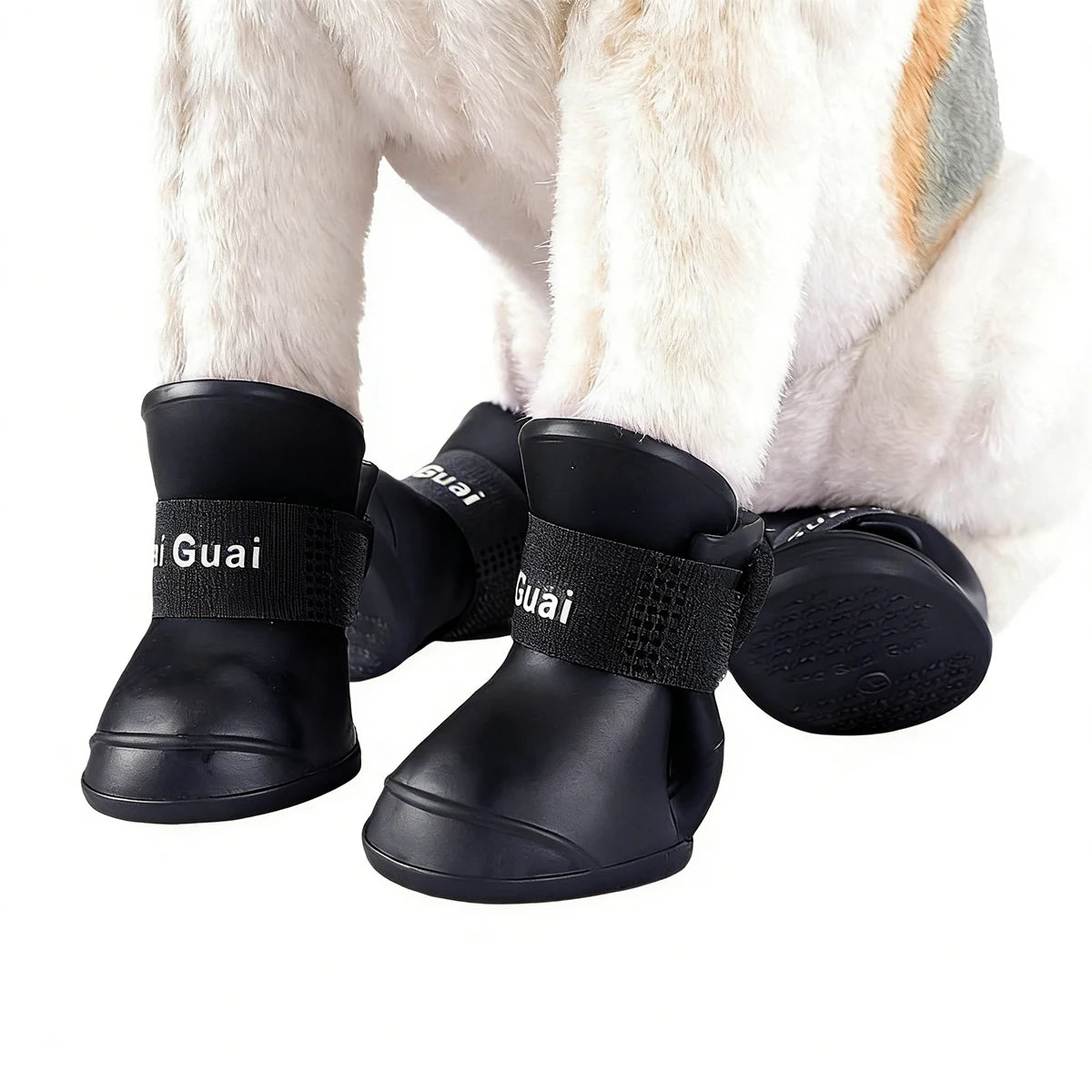 Chaussures de protection antidérapantes pour chien