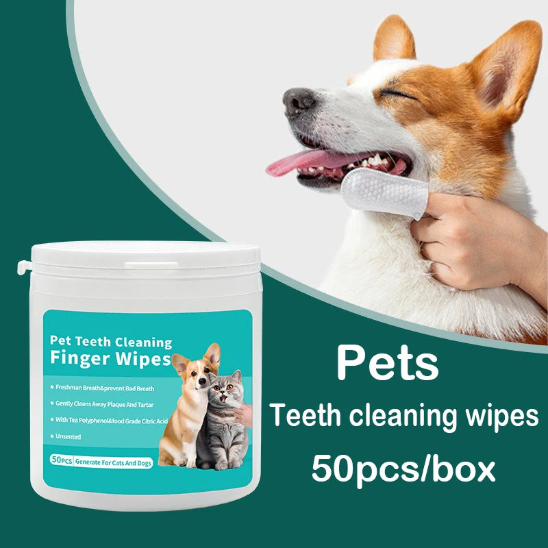 Brosse de toilettage pour chien et chat – Élimine les poils morts en douceur