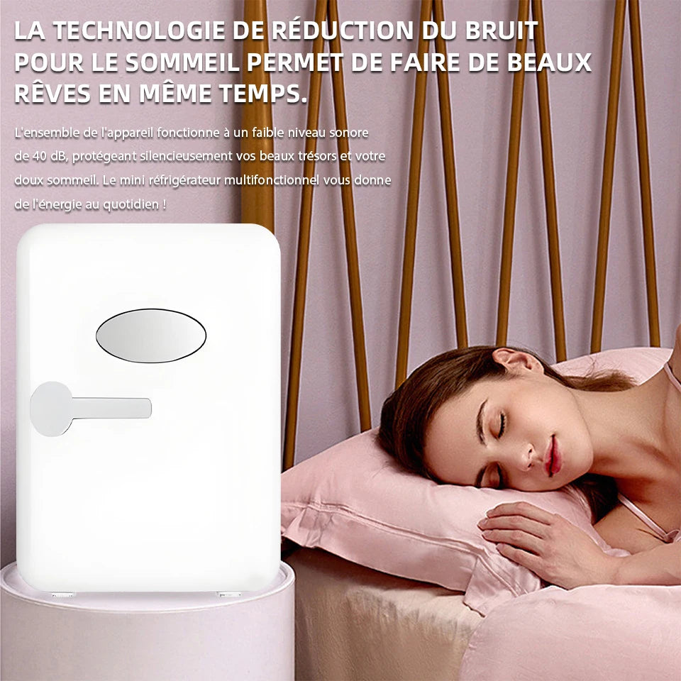 Mini réfrigérateur portable 4 L – Chauffe & Refroidit