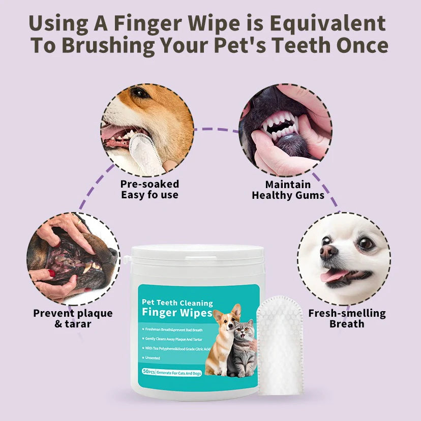 Brosse de toilettage pour chien et chat – Élimine les poils morts en douceur