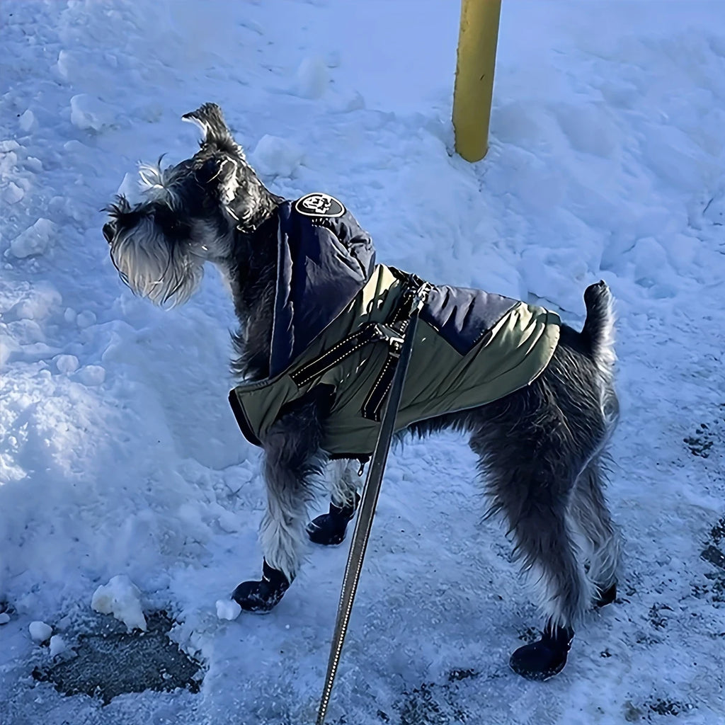 Chaussures de protection antidérapantes pour chien