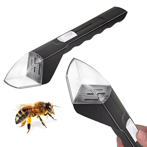Attrape-insectes transparent pour enfants – Observation sans contact