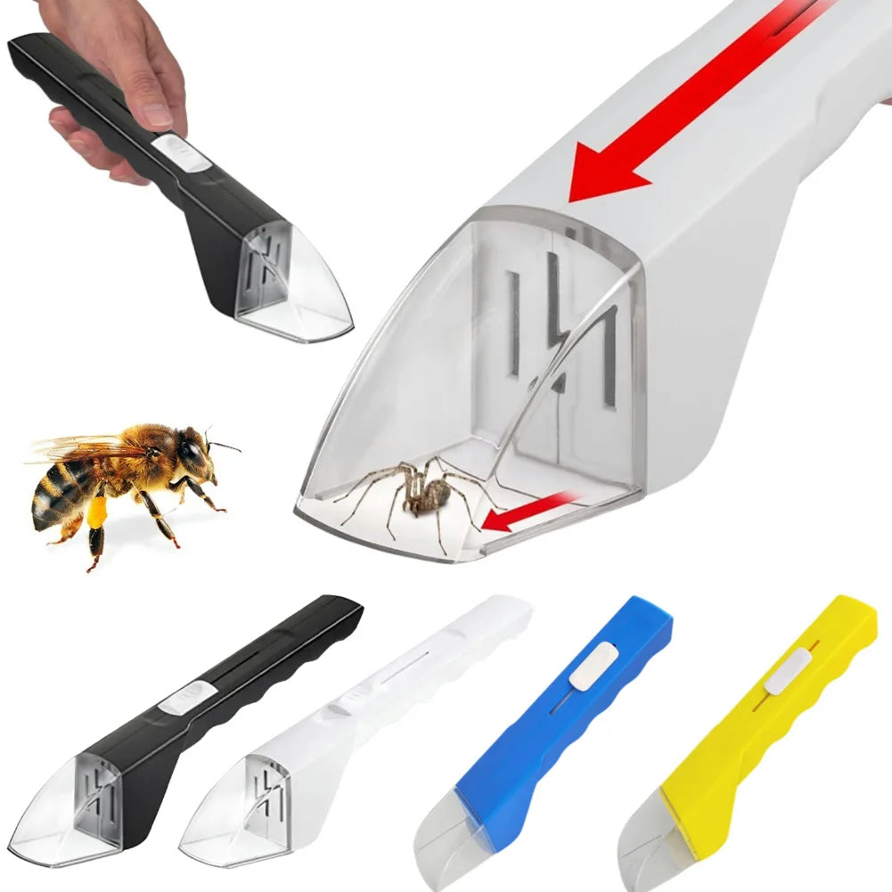 Attrape-insectes transparent pour enfants – Observation sans contact