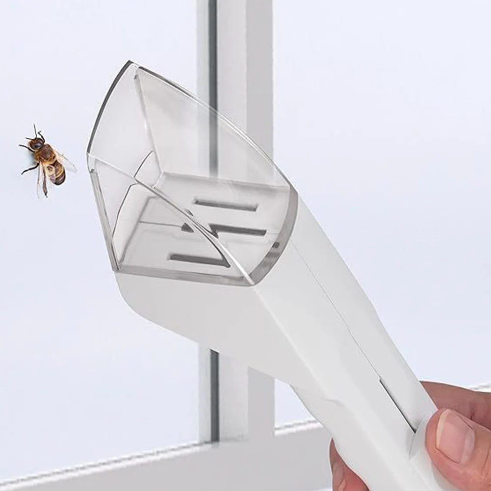 Attrape-insectes transparent pour enfants – Observation sans contact