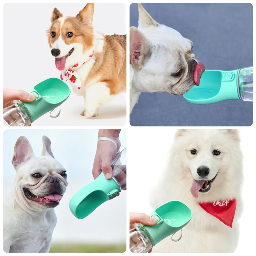 Bouteille d'eau portable pour chien avec gamelle intégrée
